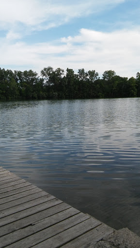 A serene view of a lake surrounded by trees, with calm water reflecting the sky.