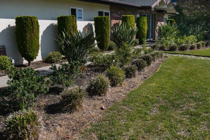 A well-maintained garden with shrubs and bushes lining the front of a house, adjacent to a neatly trimmed lawn.