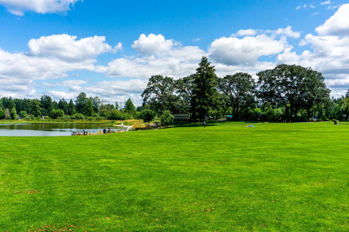 A lush green park with a pond surrounded by trees under a bright blue sky with clouds.