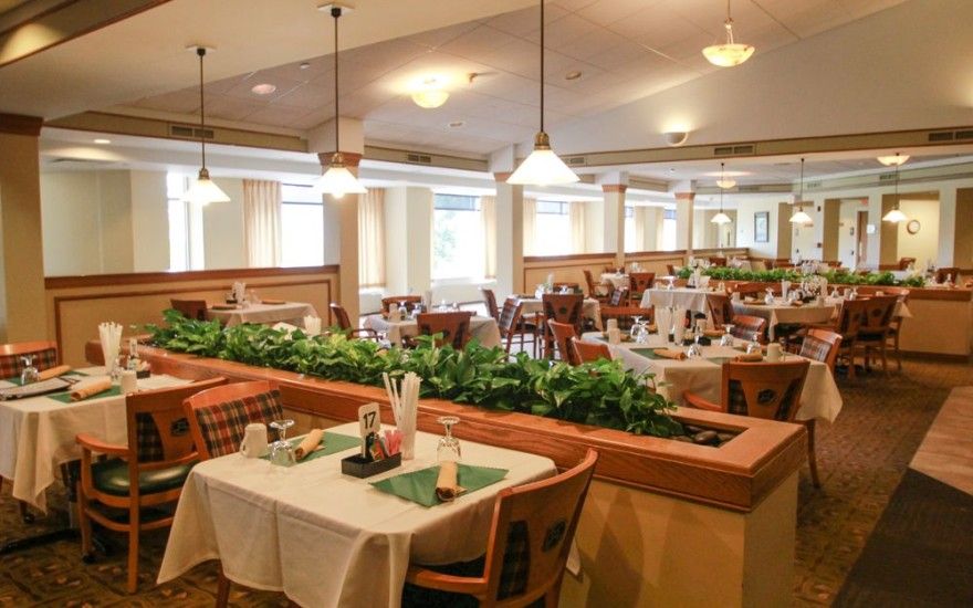 A cozy restaurant interior with neatly arranged tables and chairs, featuring decorative plants and warm lighting.