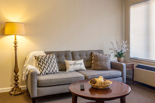A cozy living room setup featuring a stylish sofa with decorative pillows, a wooden coffee table, and a potted plant.