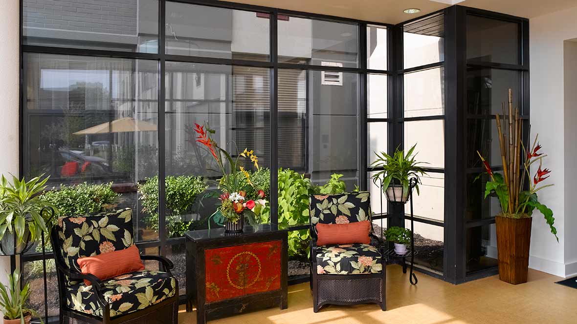 A sunlit room with comfortable chairs and vibrant plants by large windows.