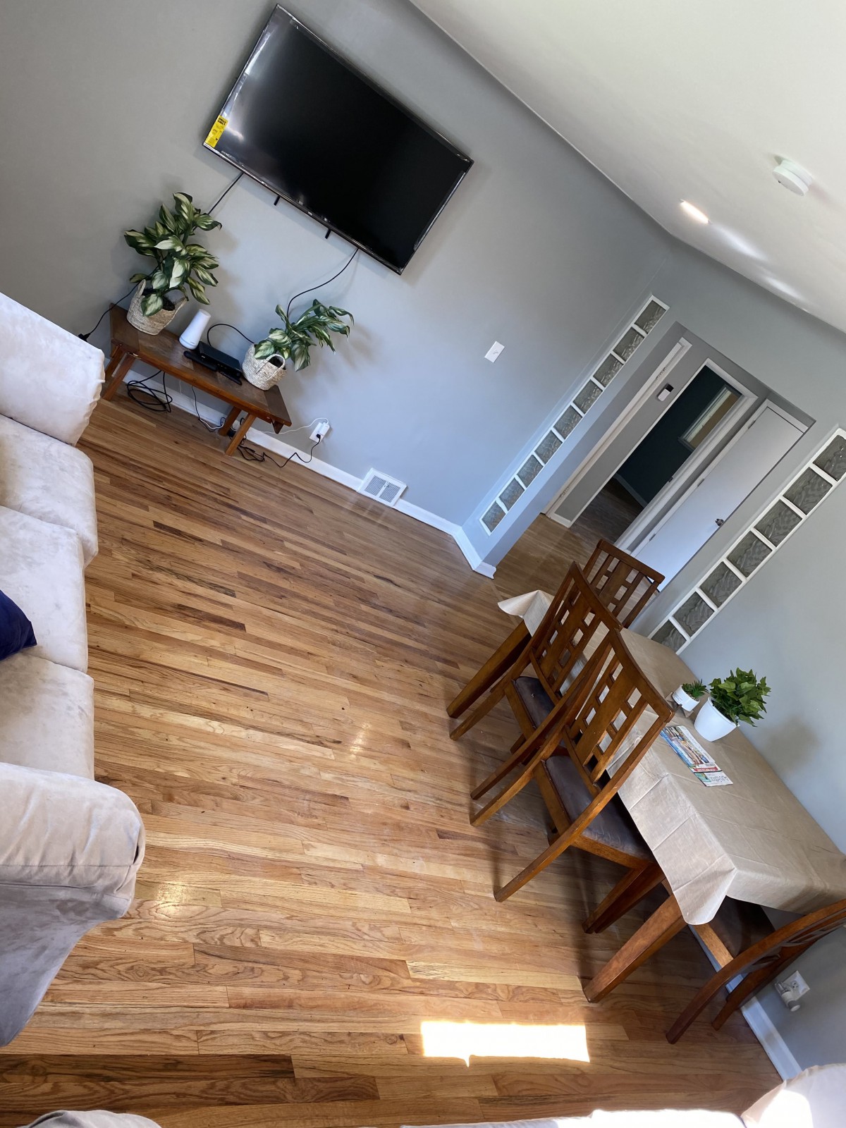 A cozy living and dining space with wooden flooring, featuring a sofa, dining table with chairs, indoor plants, and a wall-mounted TV.