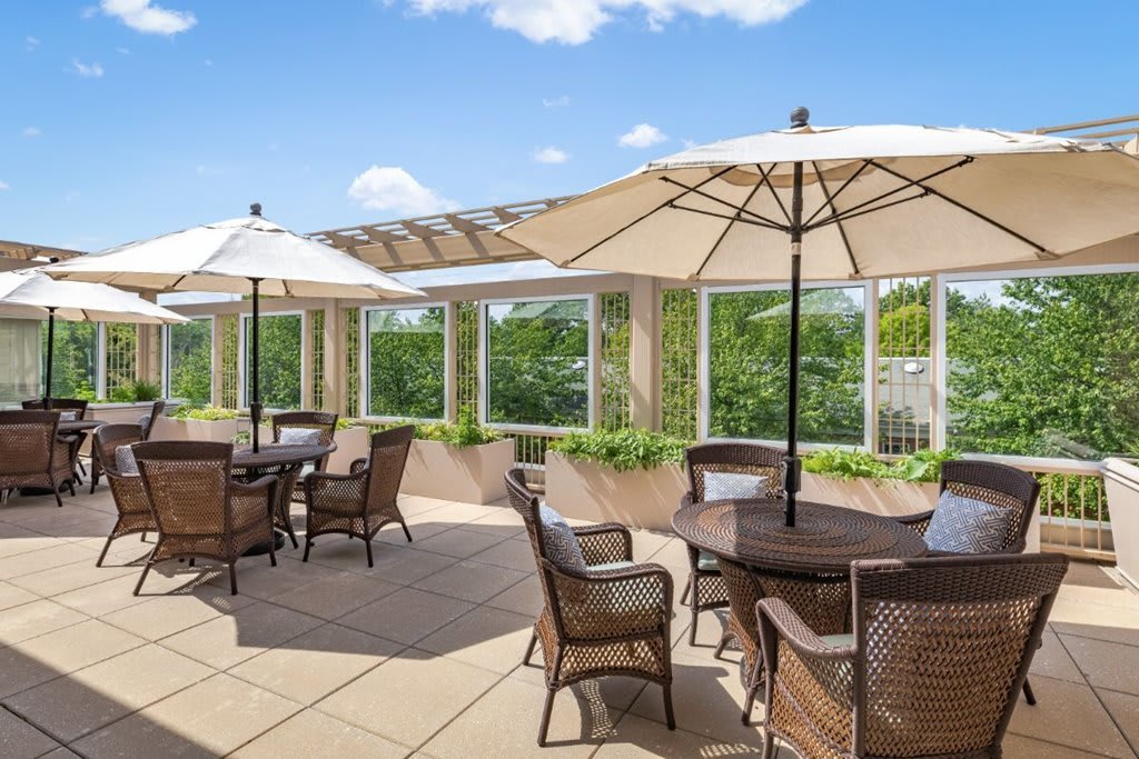 A sunny outdoor patio with wicker chairs and tables under large umbrellas, overlooking a lush garden view.