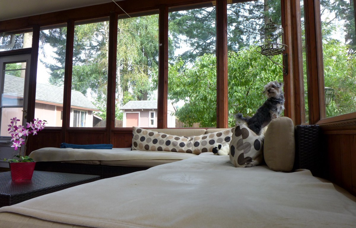 A cozy living room with large windows and comfortable seating, offering a view of lush greenery outside.