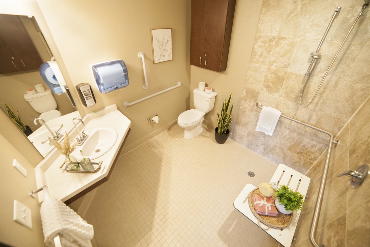 An accessible bathroom with modern amenities, featuring a sink, toilet, grab bars, and decorative elements.