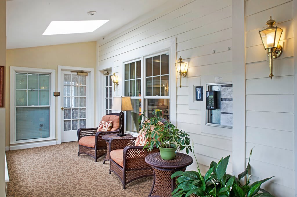 A cozy lounge area with comfortable chairs, decorative plants, and large windows.