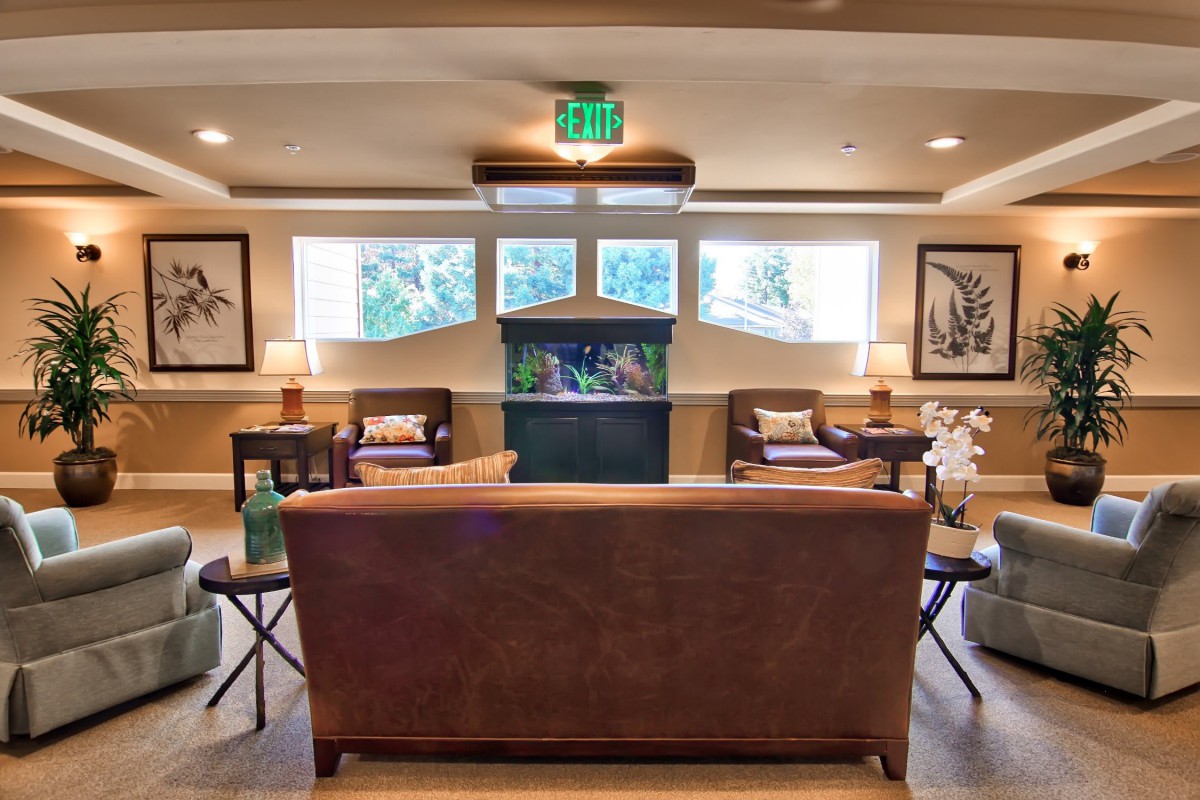 A cozy living room with a central aquarium, surrounded by sofas and natural light from the windows.