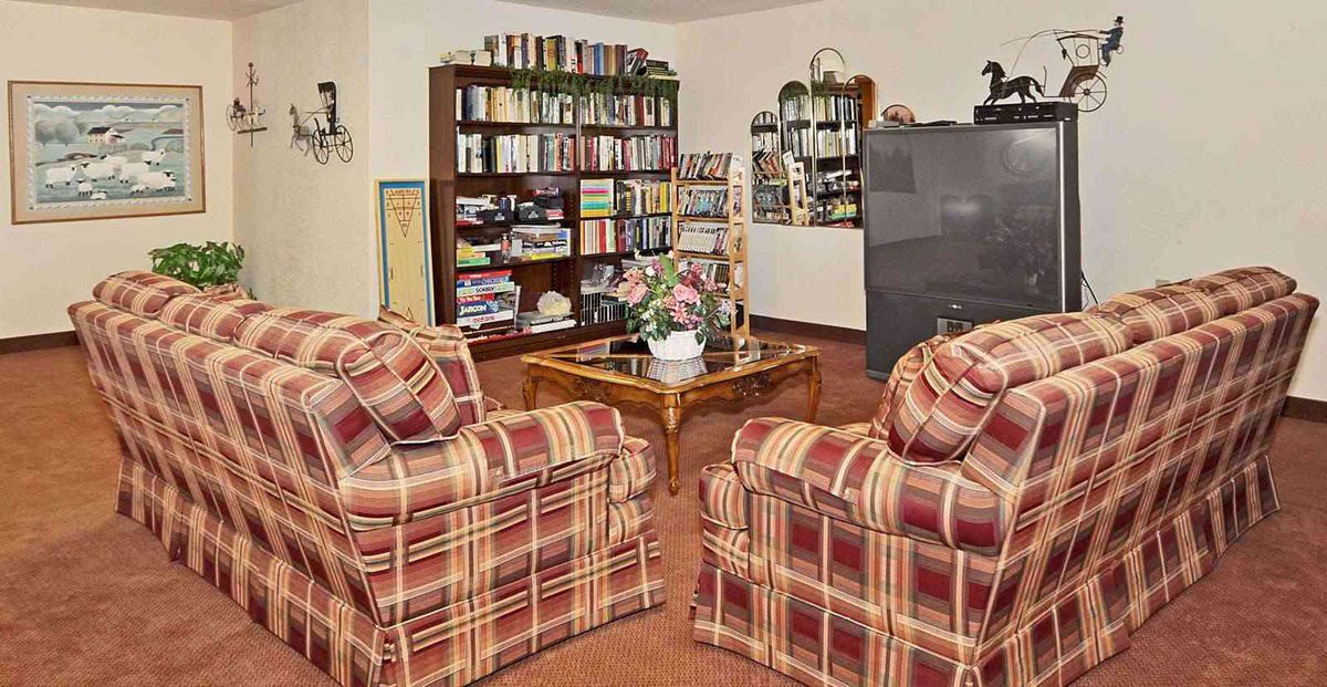A cozy living room with plaid armchairs, a large bookshelf, and a television.