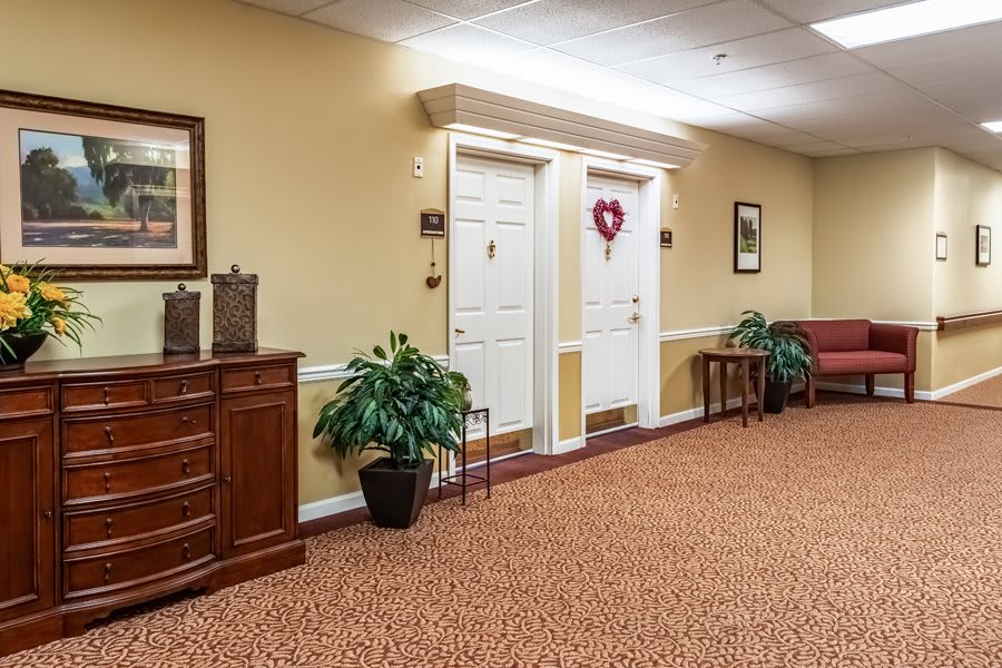 A well-lit hallway with carpet flooring, decorated doors, and potted plants.