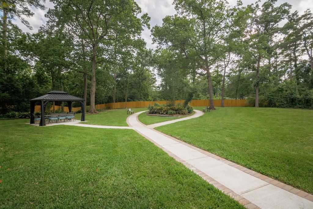 A serene garden with a winding pathway, surrounded by lush trees and a wooden fence.