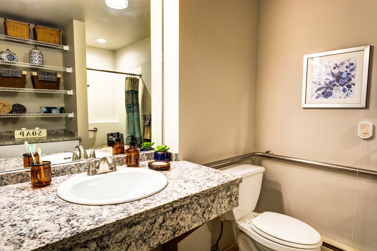 A modern bathroom with a granite countertop, sink, toilet, and shower area.