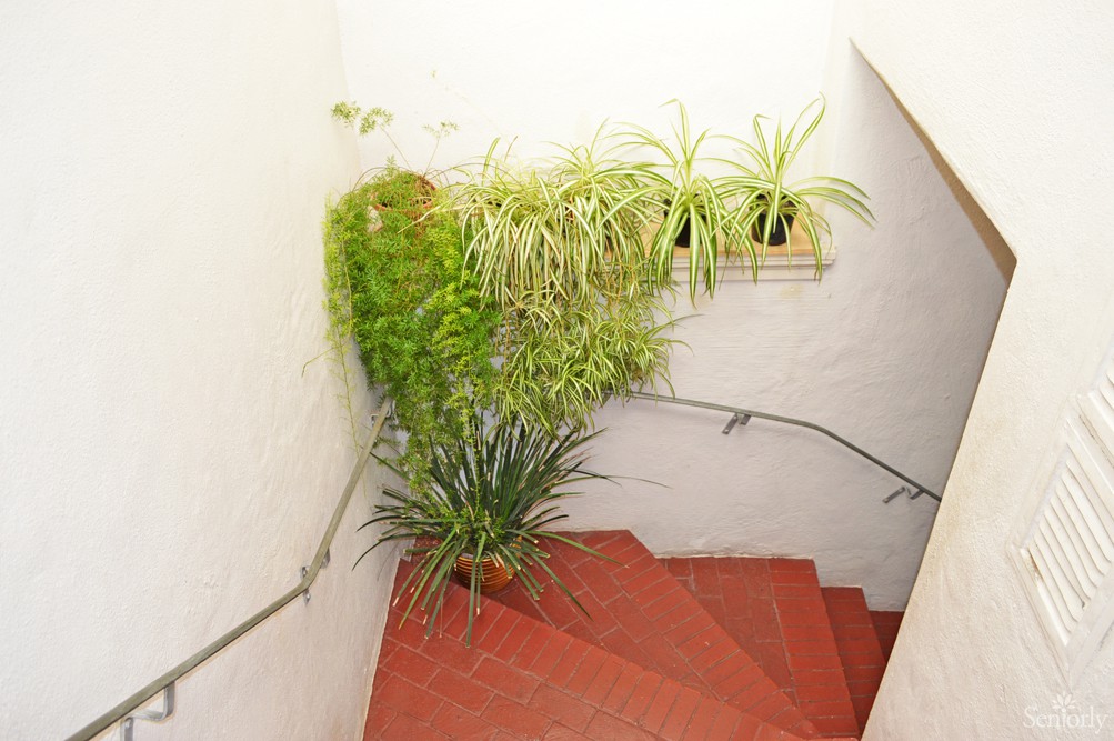A stairwell adorned with lush potted plants and greenery.