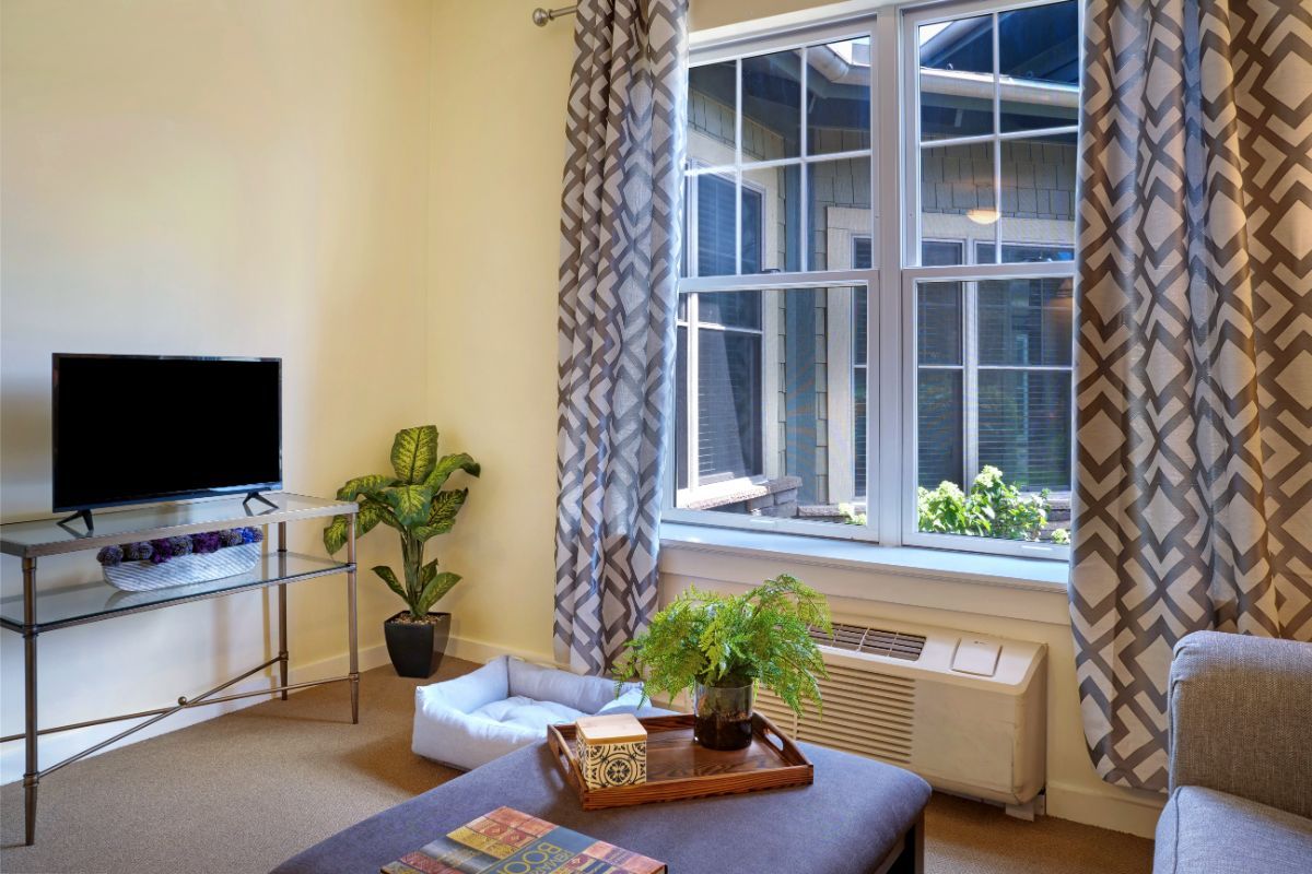 A cozy living room filled with natural light, featuring modern decor and lush green plants.