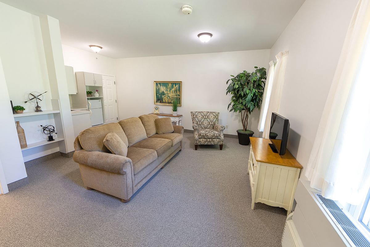 A cozy living room with a beige sofa, an armchair, a TV on a wooden stand, and a large plant for decor.