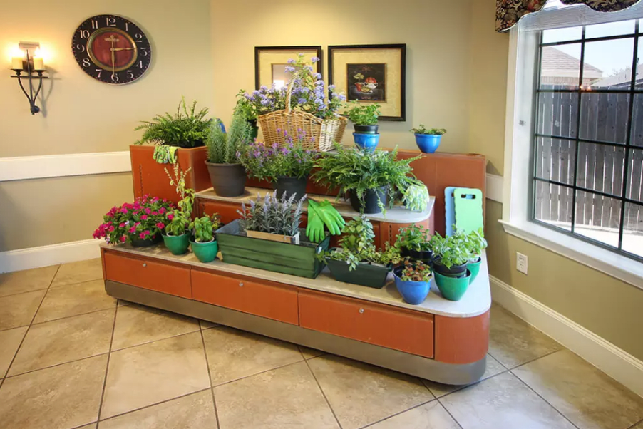 An indoor display of various potted plants arranged on a tiered structure.