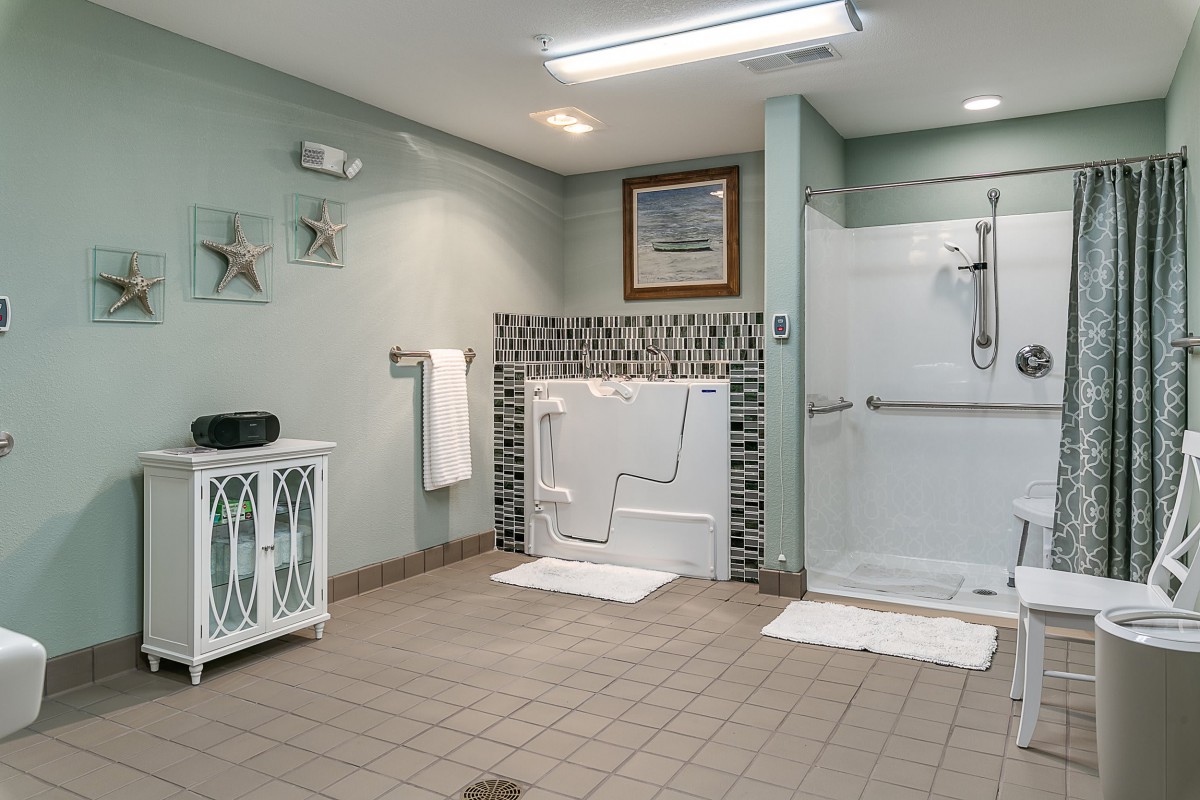 A modern and accessible bathroom featuring a walk-in tub and shower area with grab bars.