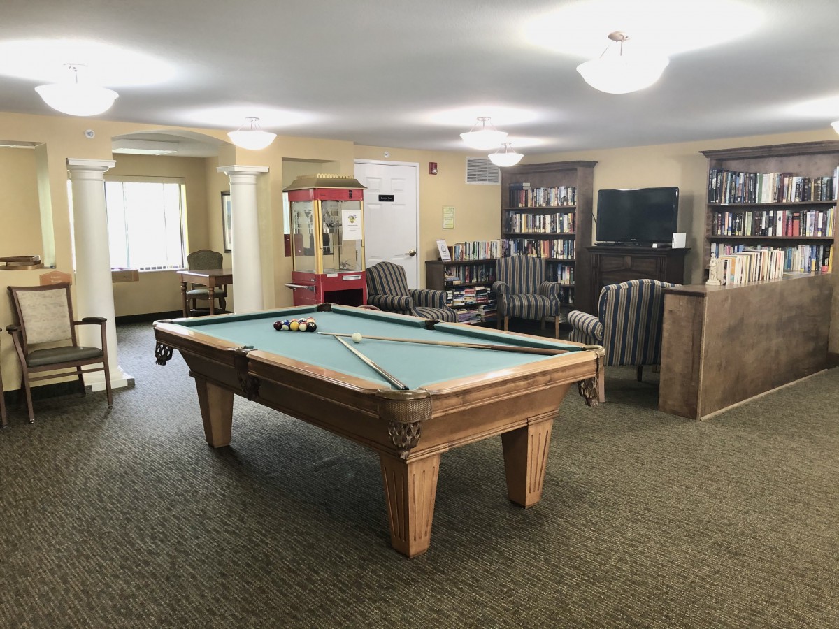 A cozy game room featuring a pool table, bookshelves, and a seating area with a television.