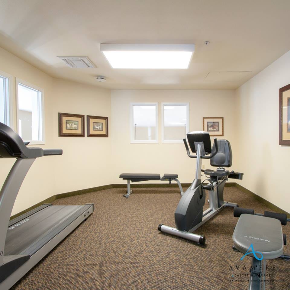 A small gym with a treadmill, stationary bike, and workout bench.
