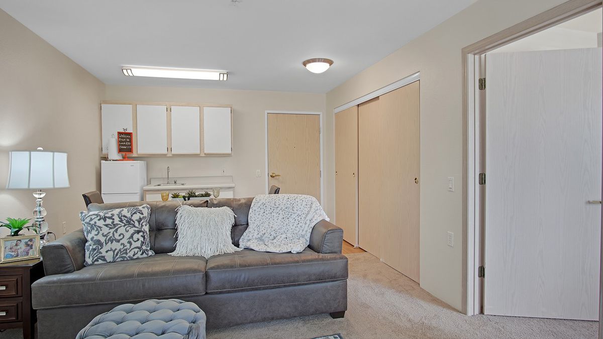 Cozy living room with a sofa and a small kitchenette in the background.