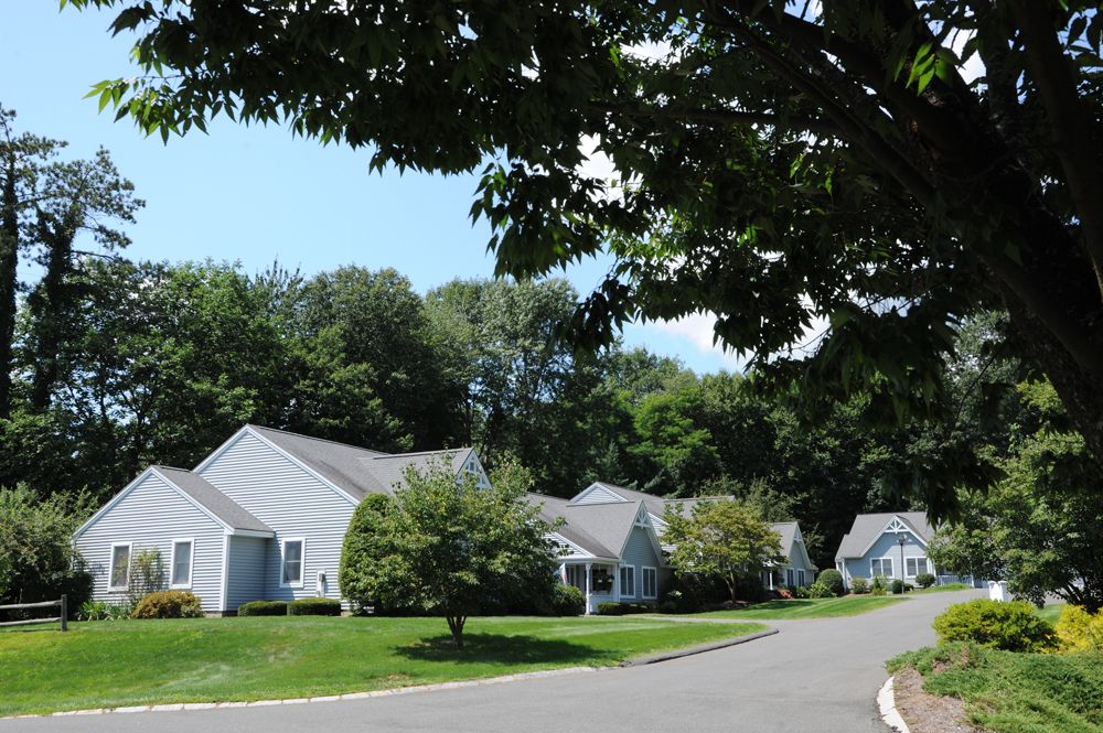 A peaceful suburban neighborhood with white houses and lush greenery.
