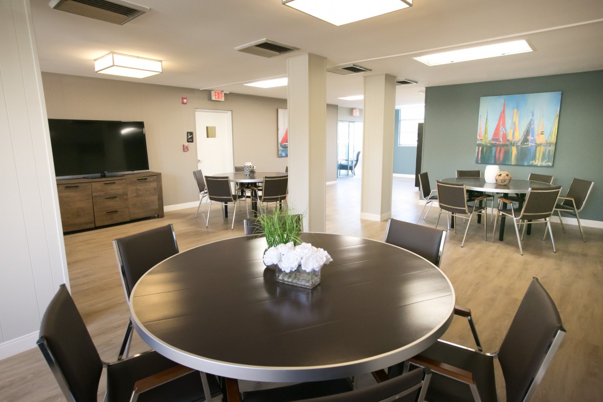 A modern meeting room with round tables and chairs, decorated with plants.