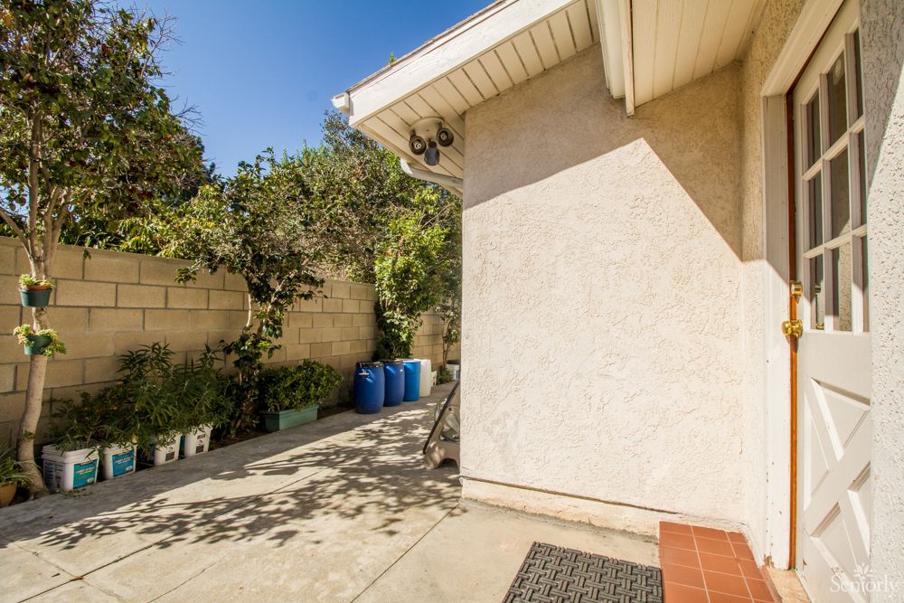 A sunny outdoor view of a house's side yard with trees and blue bins.