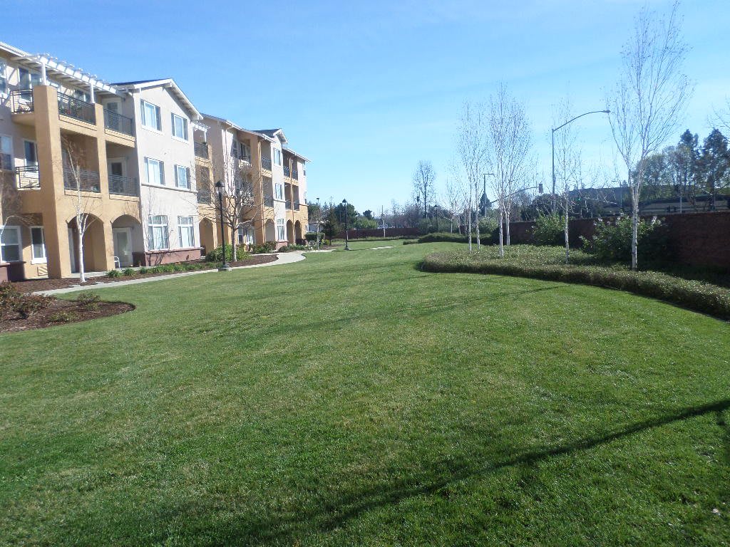 A sunny view of apartment buildings with a large grassy lawn and trees.