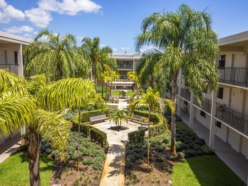 A sunny courtyard featuring lush palm trees and a well-maintained garden in a residential complex.
