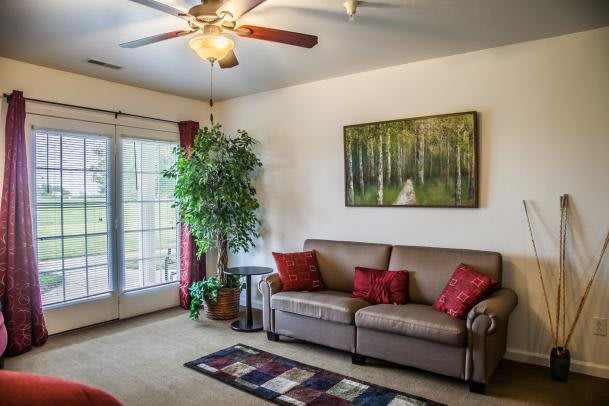 A cozy living room with a sofa, indoor plant, and artwork on the wall.
