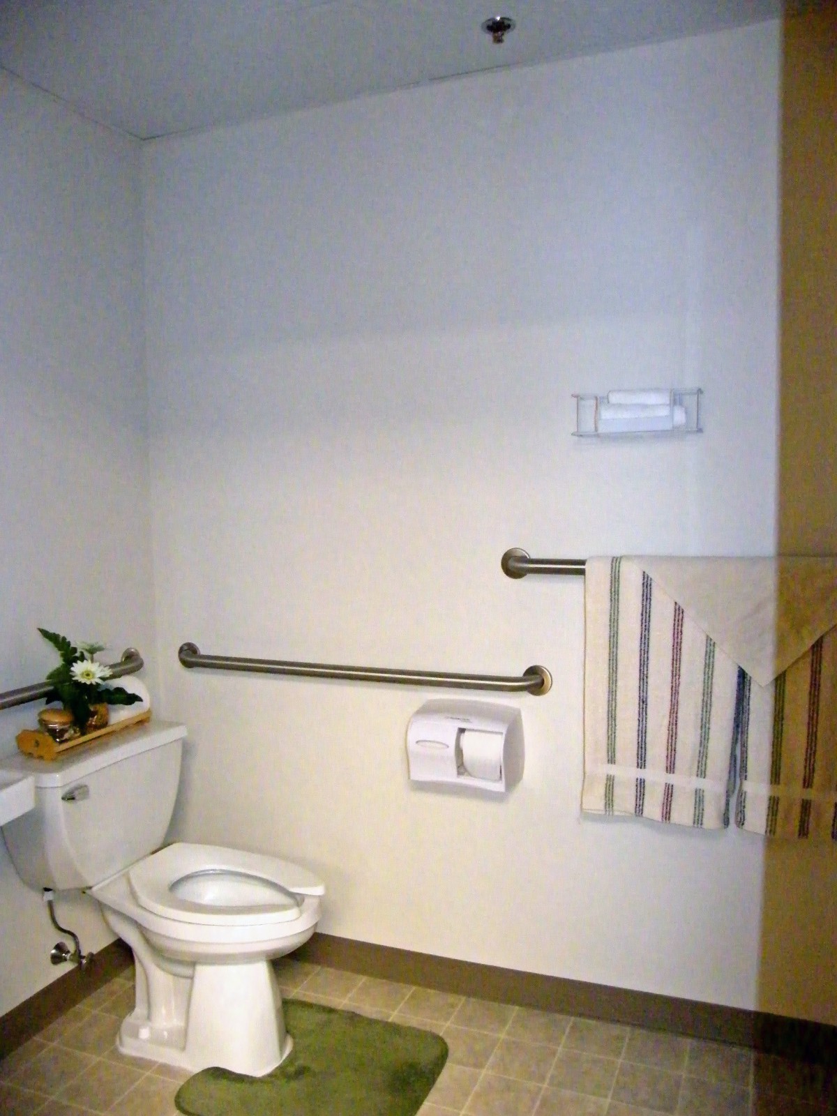 An accessible bathroom with grab bars, a toilet, and a towel rack.