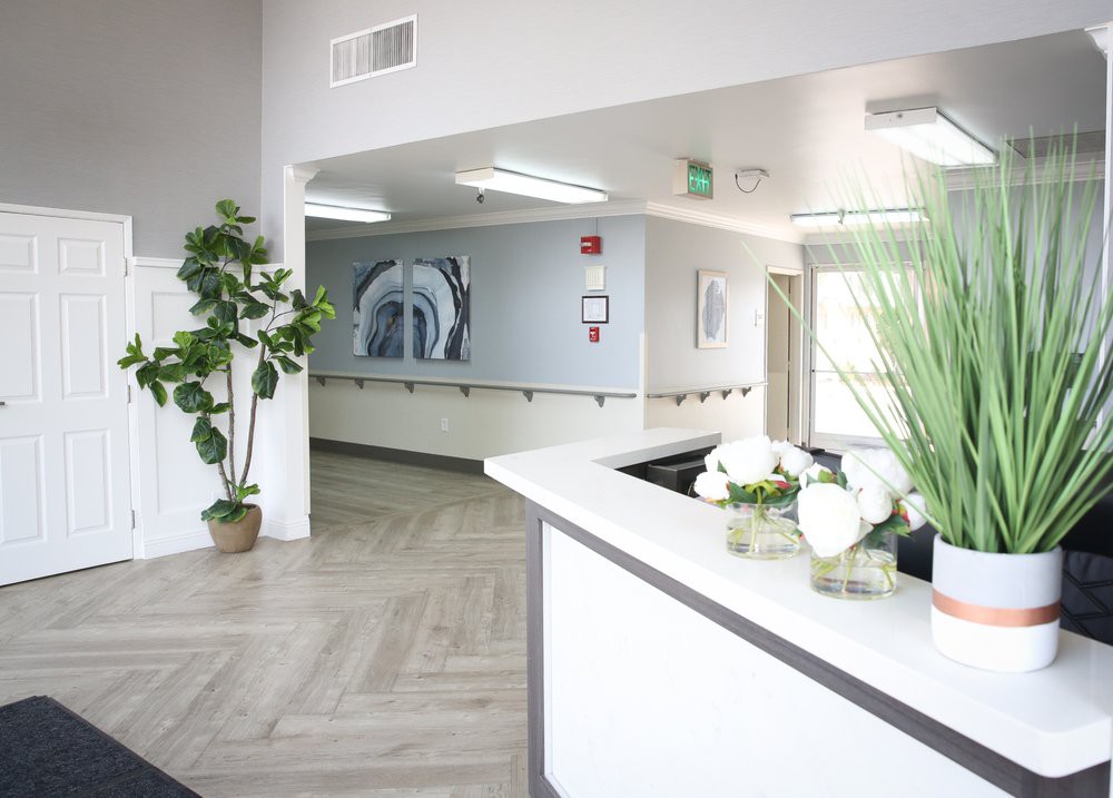 A modern and bright reception area with stylish decor, featuring plants and artwork.