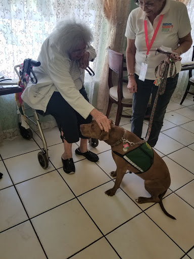 A therapy dog providing comfort to an elderly individual in a care facility.