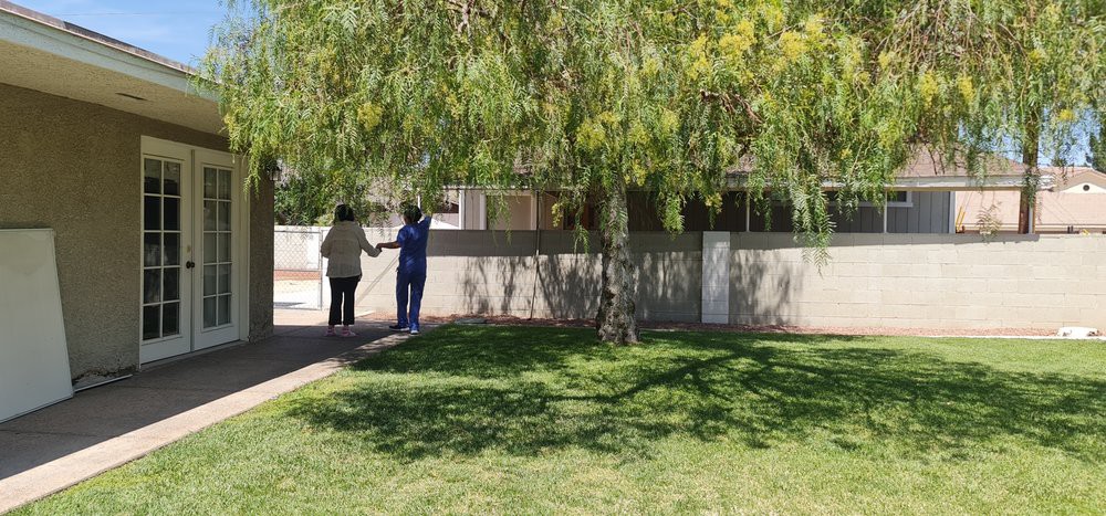 Two people standing near a wall under the shade of a large tree on a sunny day.