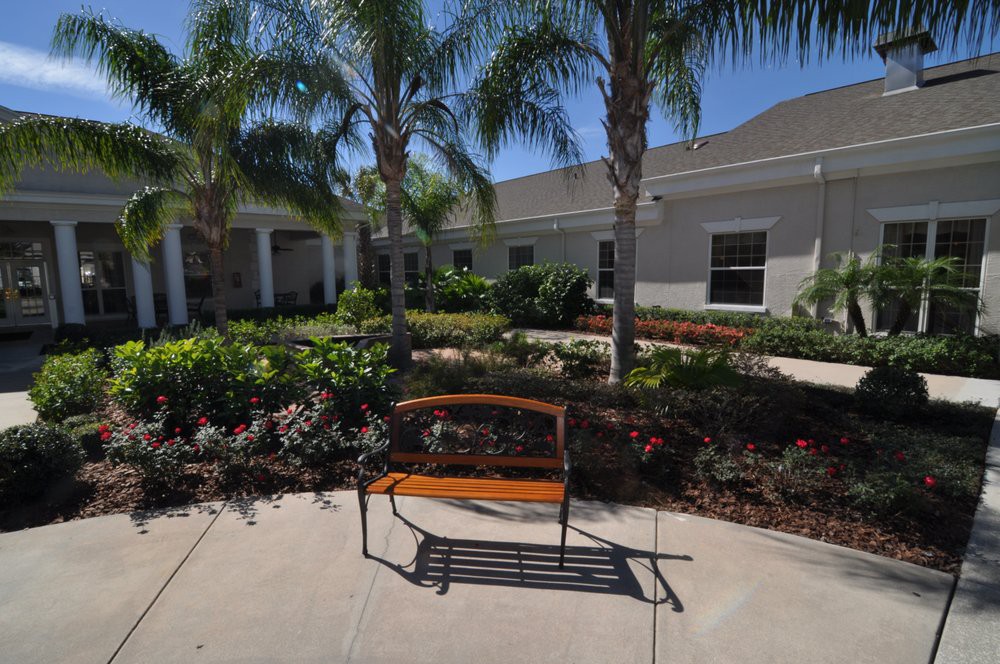 A sunny outdoor scene with a bench surrounded by palm trees and a well-maintained garden.