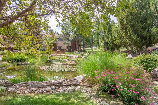 A serene garden scene with a pond surrounded by lush greenery and trees.