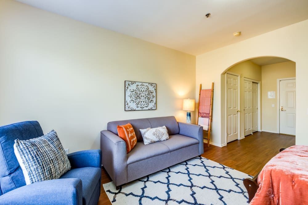 A cozy living room with a gray sofa and blue armchair, featuring decorative pillows and a patterned rug.