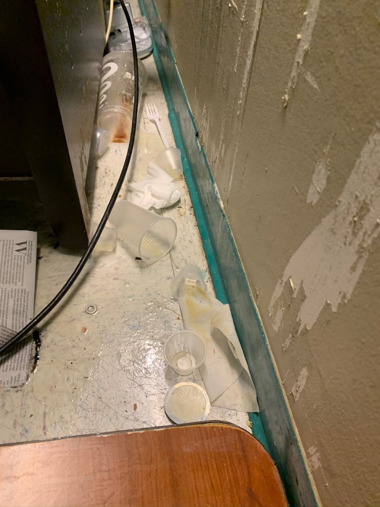 Visible water damage and peeling paint on a wall, indicating possible mold issues.