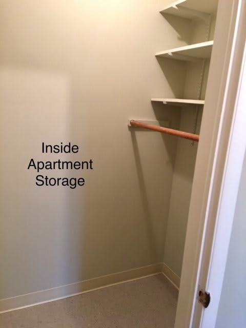 An empty closet with shelves and a clothing rod inside an apartment.