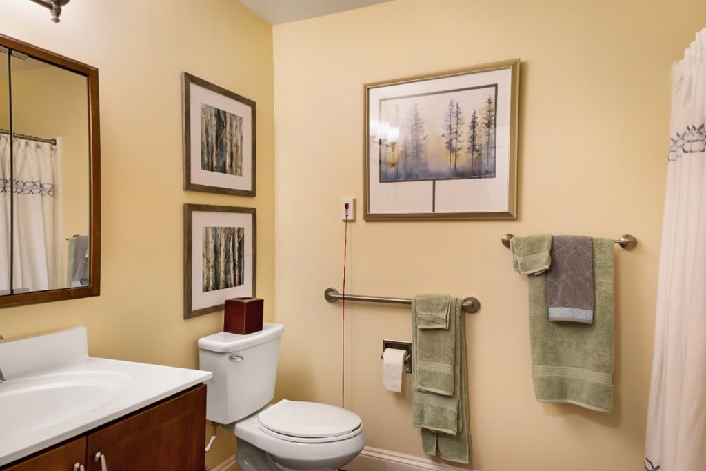 A well-decorated bathroom with wall art, towels, and a grab bar next to the toilet.