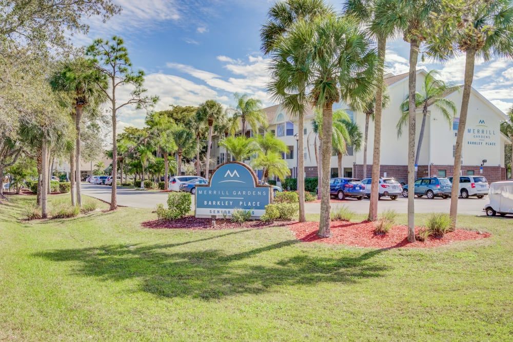 A sunny day at a hotel with palm trees and a visible parking area.