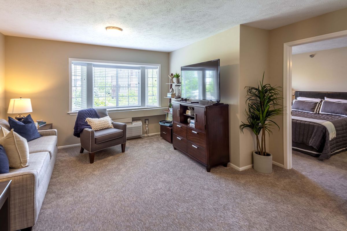 A cozy living room with a chair, TV stand, window, and decorative plant.