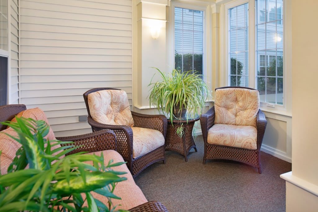 A cozy indoor seating area with wicker chairs and a potted plant by large windows.